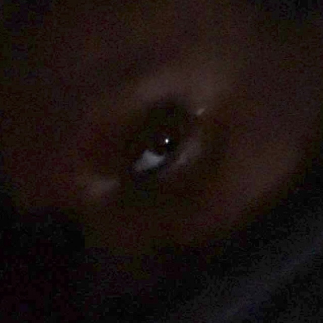 Ilovethenight cover art
