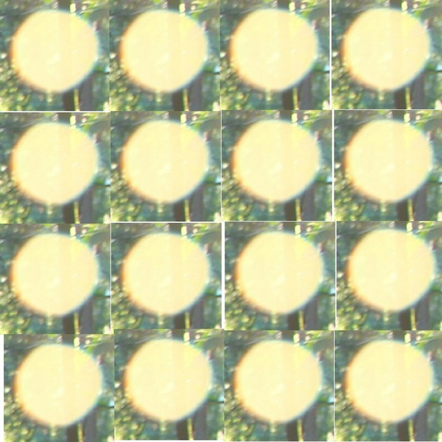 Capture a Thing cover art