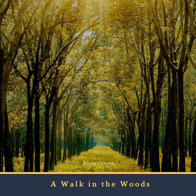 A Walk in the Woods