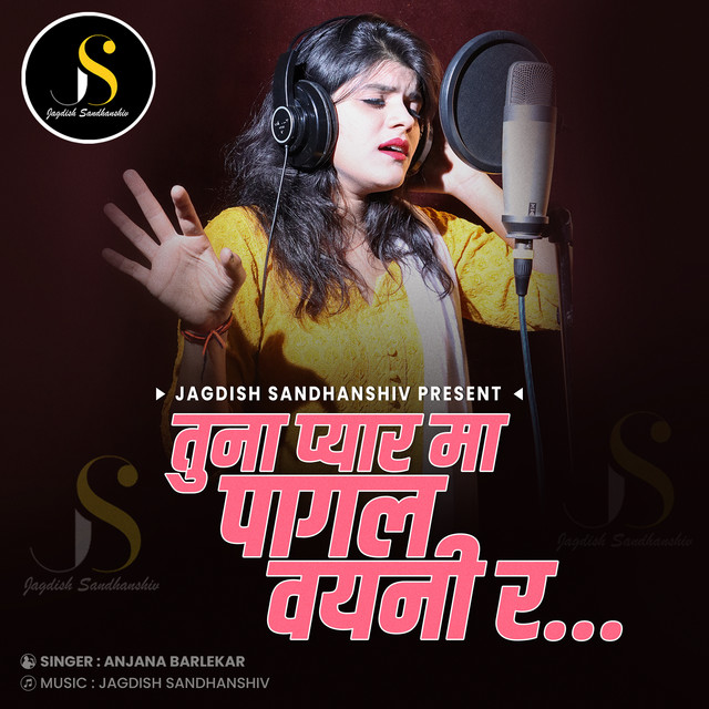 Tuna Payar Ma Pagal Vayni Ra (Female Vocals) cover art