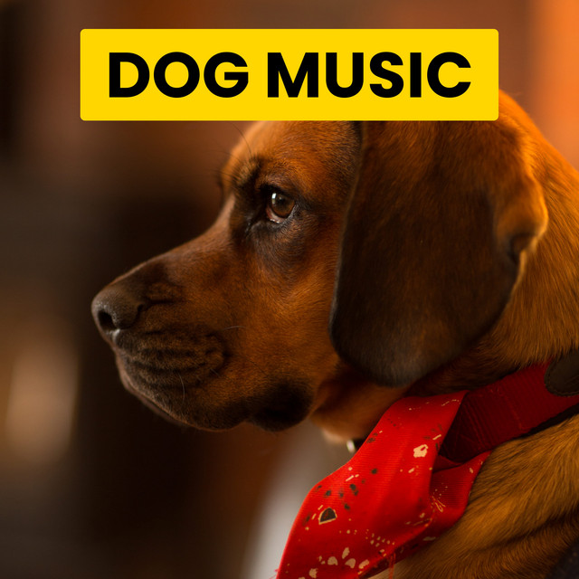 Cat Music cover art