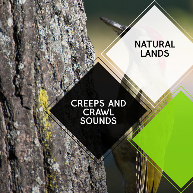 Go to Sleep with the Sound of Crickets cover art