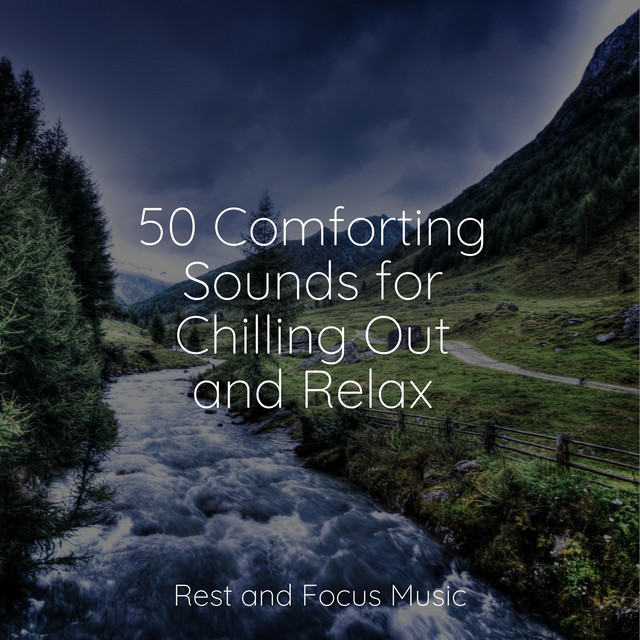 50 Comforting Sounds for Chilling Out and Relax - Album by Sleep Sounds ...
