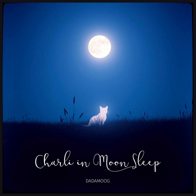 CHARLI IN MOON SLEEP – dadamoog (Single)