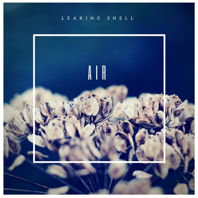 AIR cover art