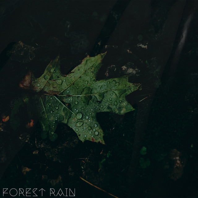 Forest Rain cover art