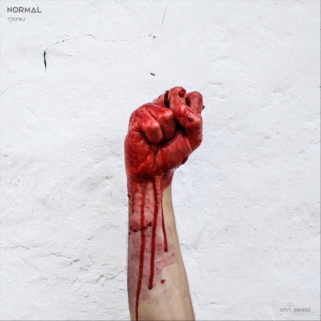 Normal cover art