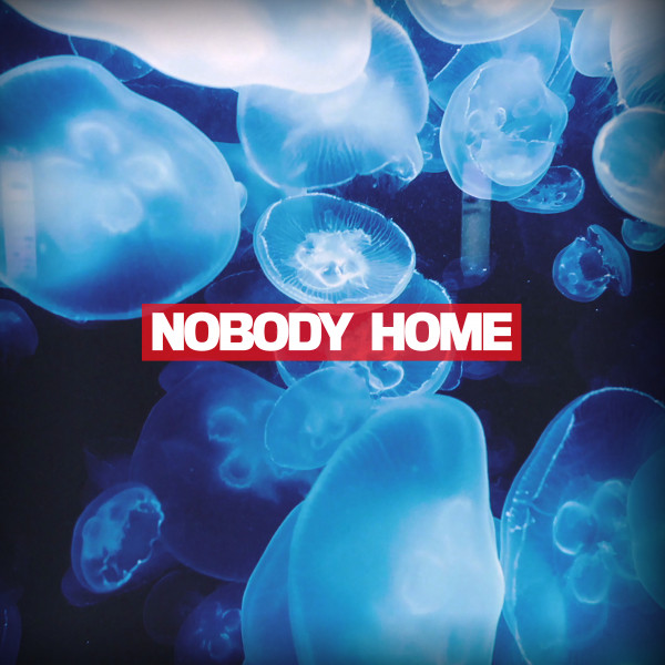 Nobody Home cover