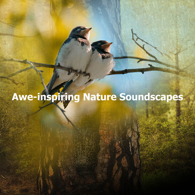 Awe-inspiring Nature Soundscapes cover art