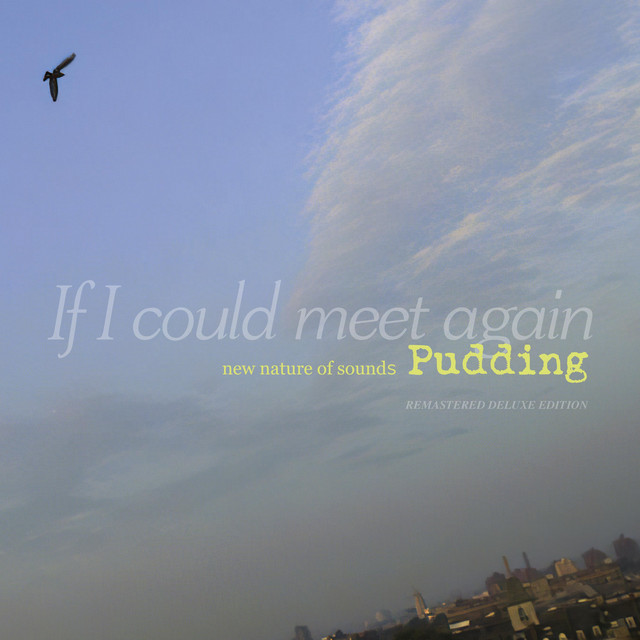 If I Could Meet Again (Remastered Deluxe Edition) cover art