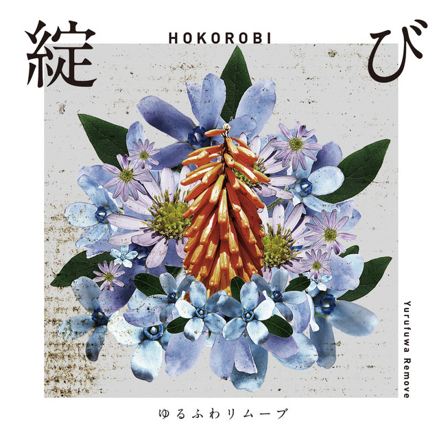 綻び cover art