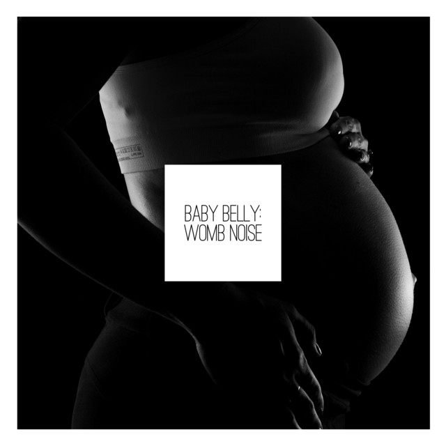 Baby Belly: Womb Noise cover art