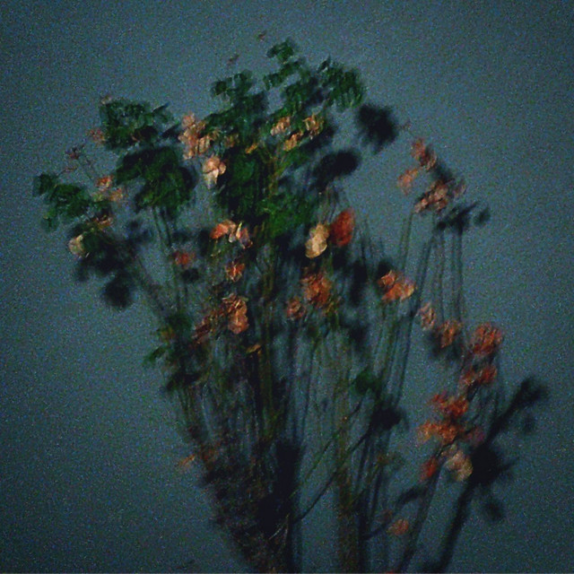 Placeholder cover art