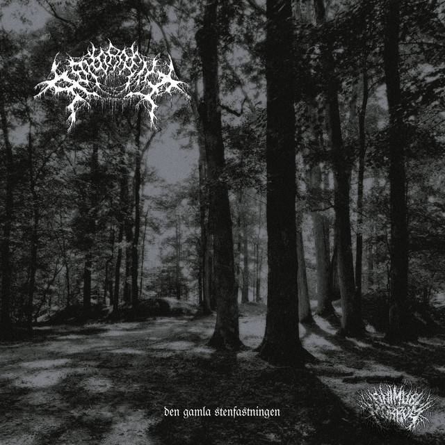 den gamla stenfästningen cover art