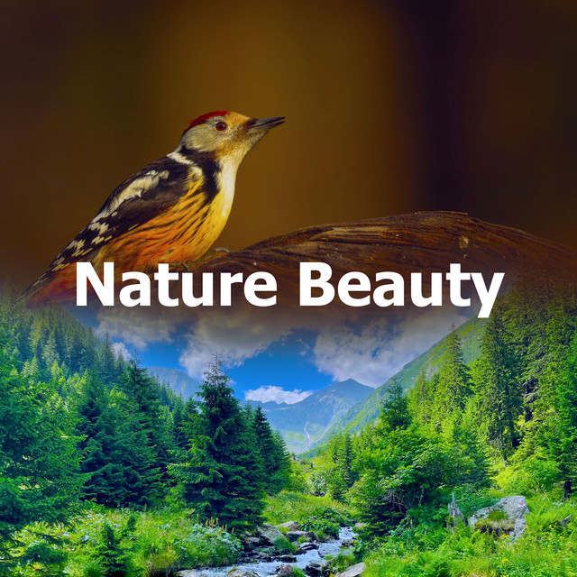 Nature Beauty - Album by Nature Sounds for Sleep and Relaxation | Spotify
