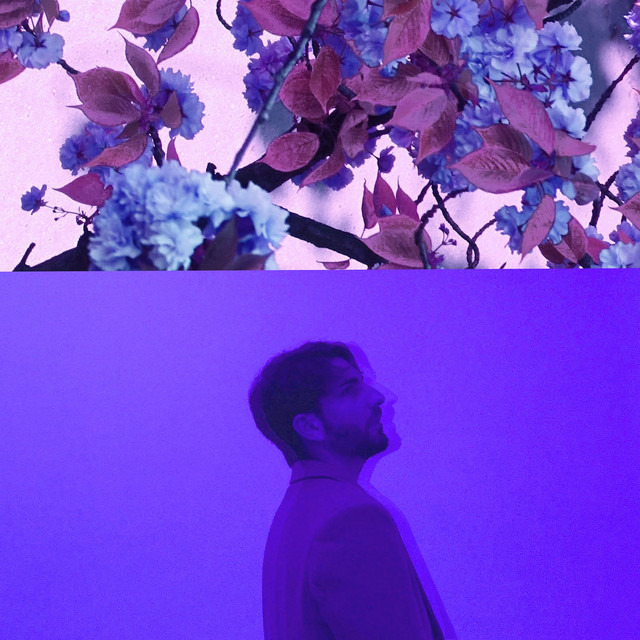 Purple cover art