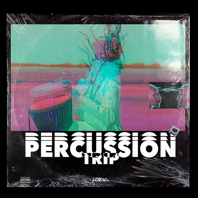 Percussion Trip cover art