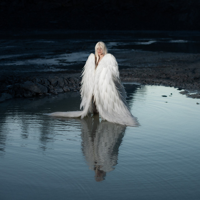 LOS CISNES album image