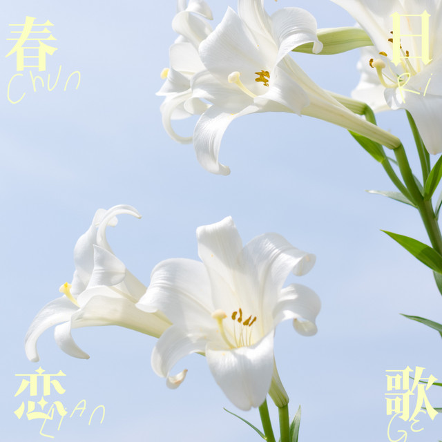 綺羅キラーのジャケット