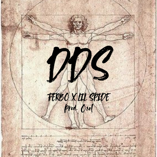 DDS cover art