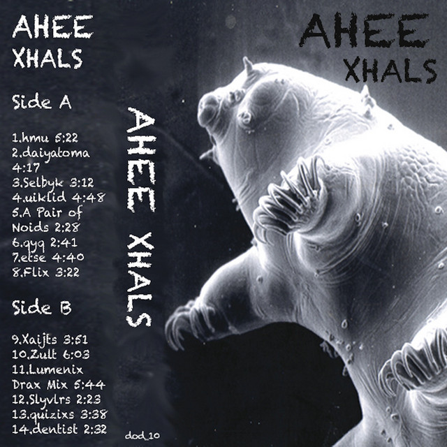 Xhals cover art