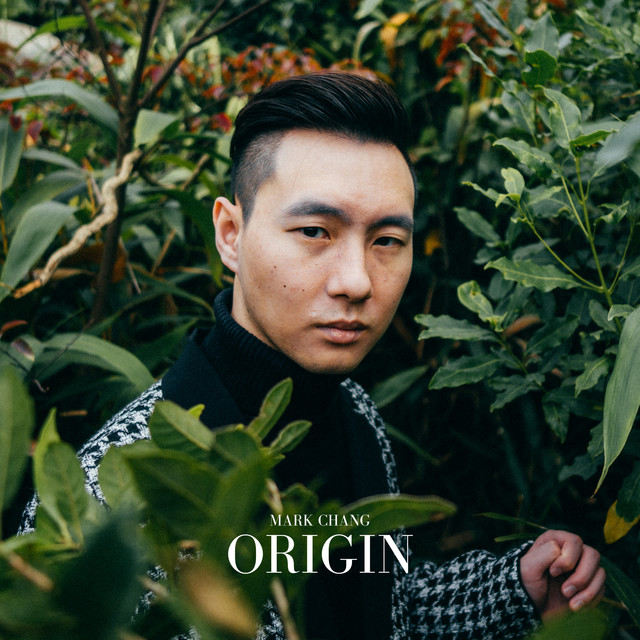 Origin cover art