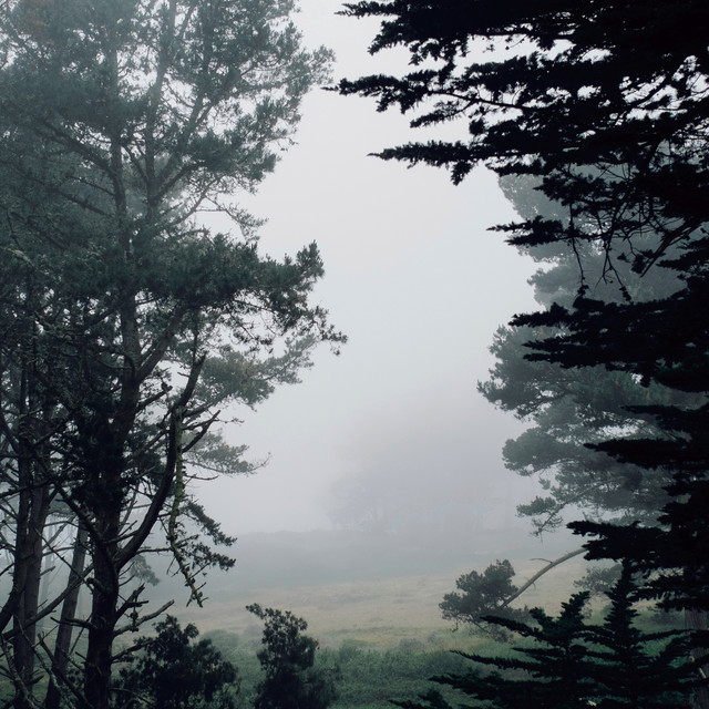 Presidio cover art