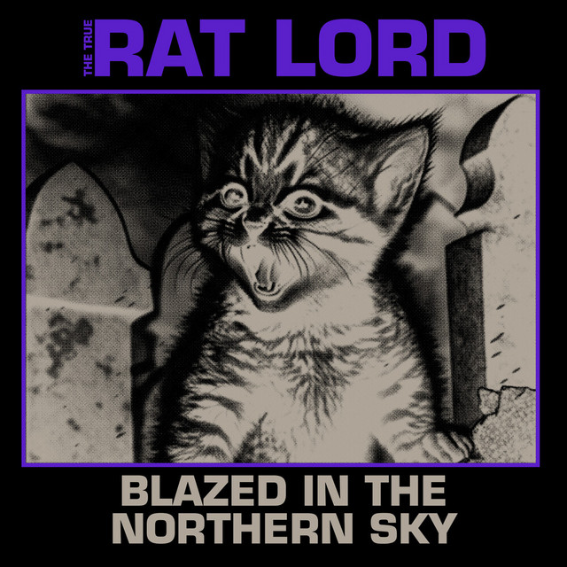 Blazed In The Northern Sky cover art