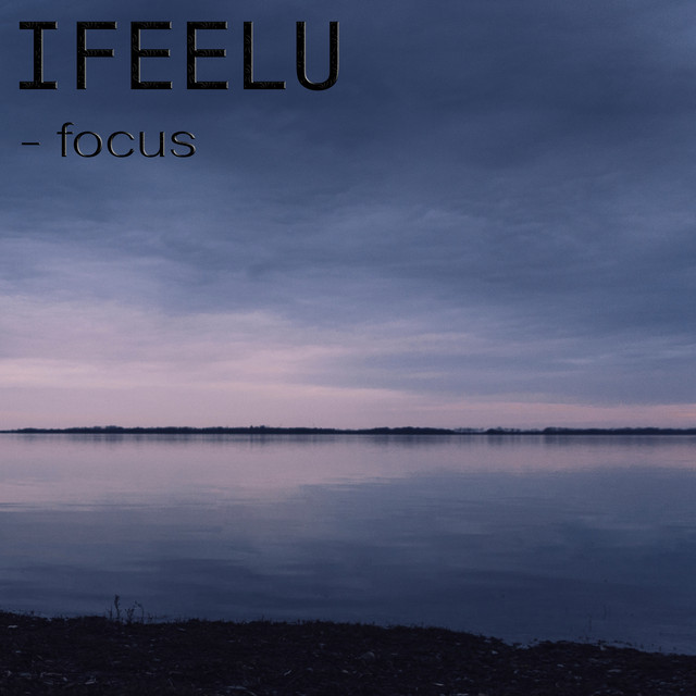 Cover of Focus by IFEELU