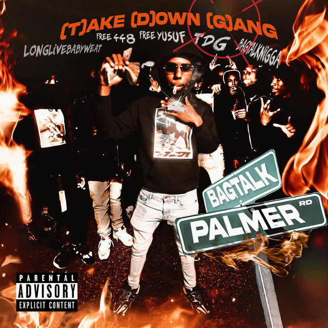 Take Down Gang cover art