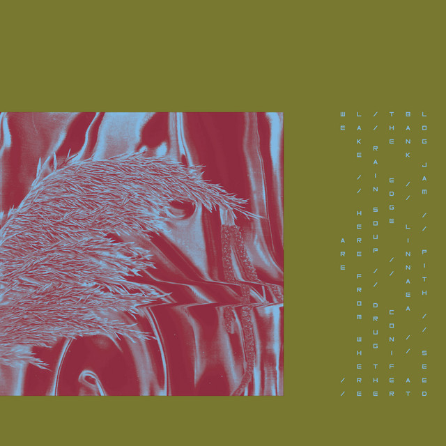 undefined album image