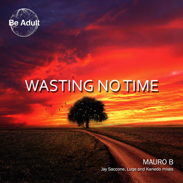 Wasting No Time cover art