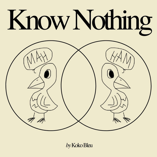 Know Nothing cover art