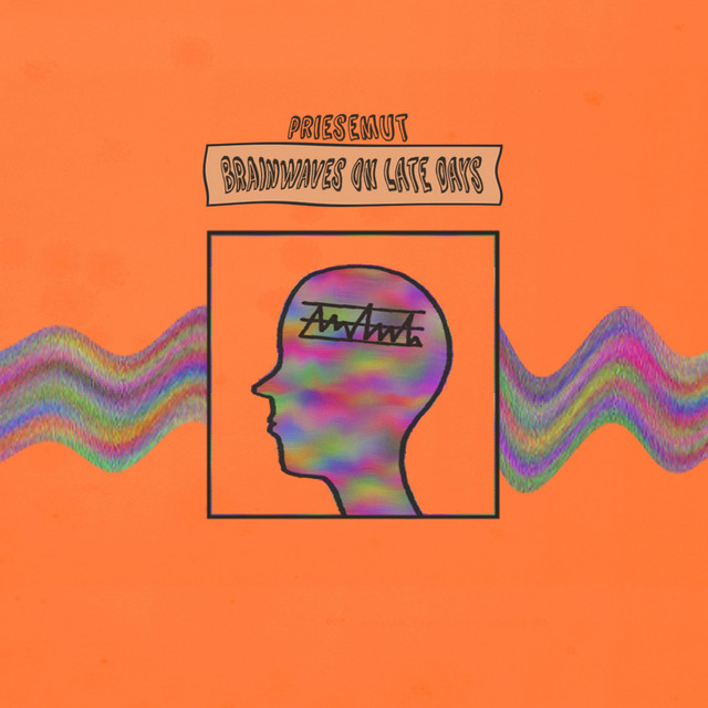 Brainwaves on Late Days cover art