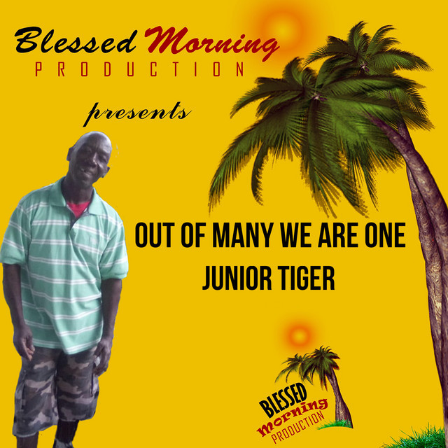Junior Tiger Photo