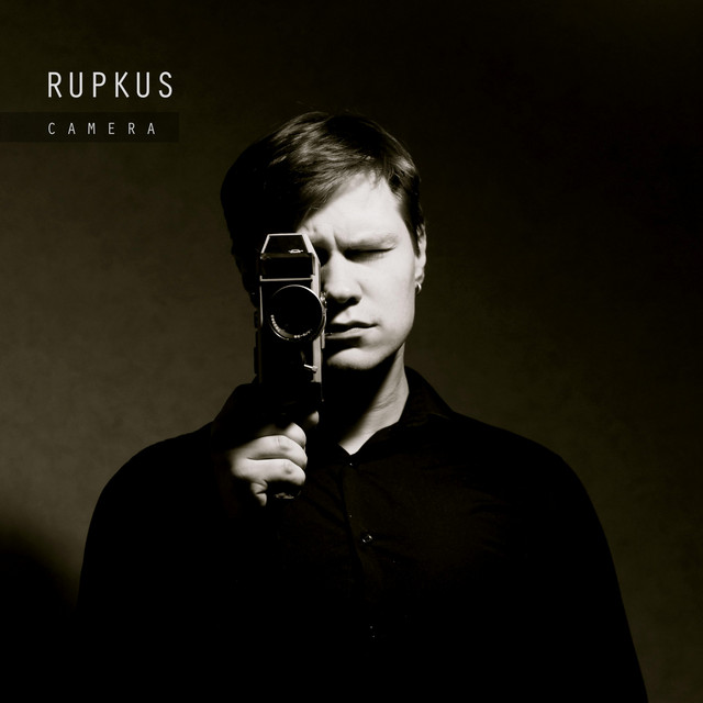 Camera cover art
