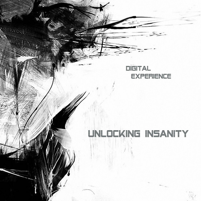 Unlocking Insanity cover