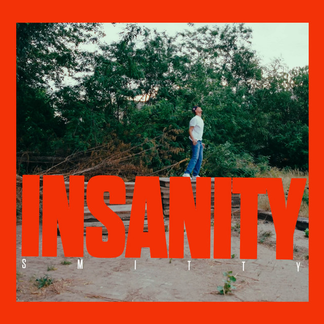 Insanity - Single by Smitty | Spotify