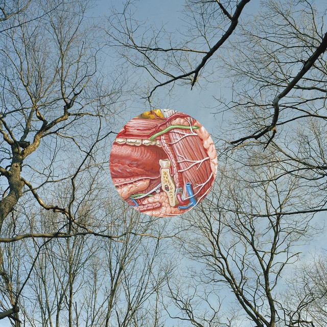 Glean cover art