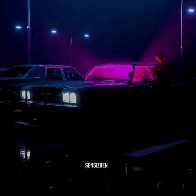 Sensizben cover art