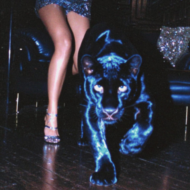 PANTHER
