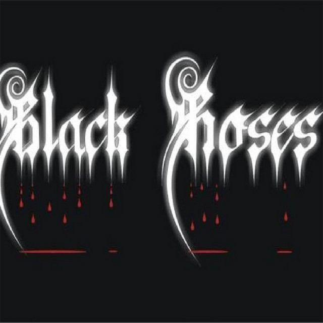 Hits - Album by Black Roses | Spotify