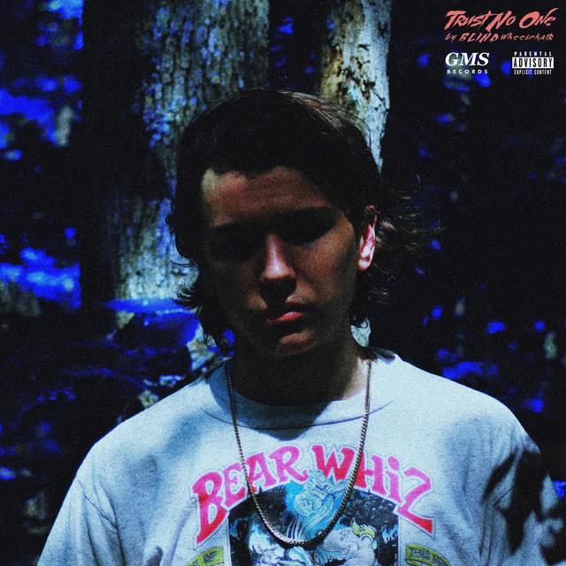 TRUST NO ONE cover art