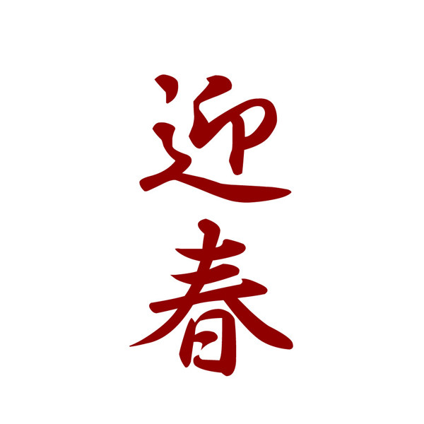 ザ・日本のお正月 cover