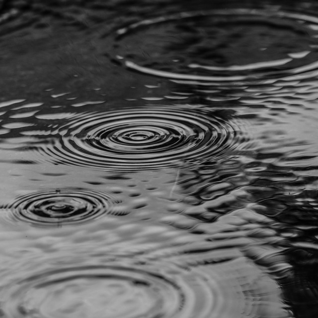 Rainfall cover art