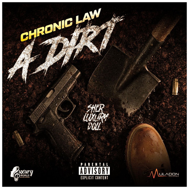 A Dirt album image