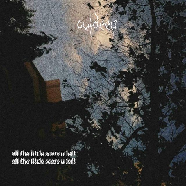 all the little scars u left cover art