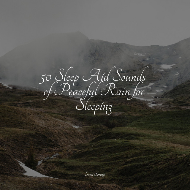 50 Sleep Aid Sounds of Peaceful Rain for Sleeping - Album by Heavy Rain ...