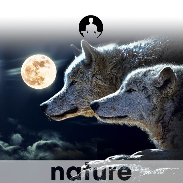 Sacred Wolf cover art