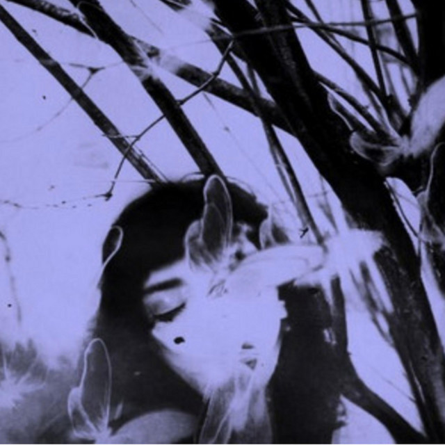 She Is from the Islands cover art